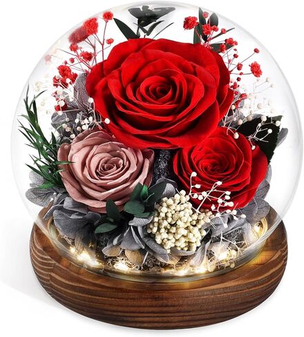 Mothers Day Birthday Gifts for Mom Women Preserved Flowers in Glass Dome Forever Fresh Flowers for Delivery Prime Long-Lasting Eternal Roses Gifts for Grandma Sister Daughter Wife Her Purple in Kuwait
