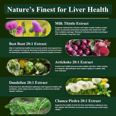 Liver Cleanse Detox & Repair - Sugar Free & Vegan Gummies, Milk Thistle Liver Detox Supplement, Supports Liver Detox, Ginger Root, Choline & Dandelion Root, Silymarin Infused, 120 Gummies in Kuwait