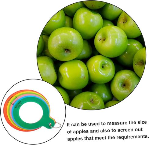 LIFKOME Fruit Diameter Measuring Gauge Portable Ruler for Apples Oranges Easy to Use Fruit Grading Tool for Accurate Measurement and Sorting of Fruits Vegetables in Saudi Arabia