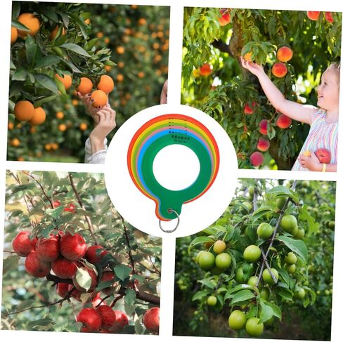 LIFKOME Fruit Diameter Measuring Gauge Portable Ruler for Apples Oranges Easy to Use Fruit Grading Tool for Accurate Measurement and Sorting of Fruits Vegetables in Saudi Arabia