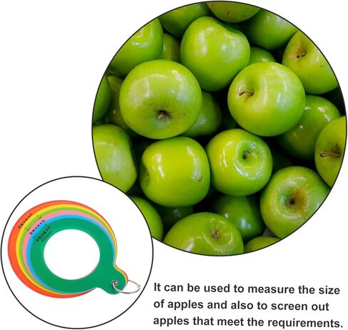 Ciieeo Fruit Size Measurement Ring Adjustable Plastic Gauge for Apples Oranges and Peaches Diameter Measuring Tool for Accurate Fruit Sizing in Saudi Arabia