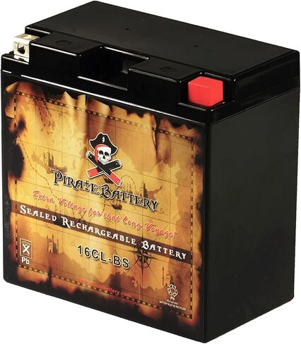 Pirate Battery YTX14AHL-BS Maintenance Free Replacement Battery for ATV, Motorcycle, Personal Watercraft, Scooter, and Snowmobile: 12 Volts, 1.2 Amps, 12Ah, Nut and Bolt (T3) Terminal in Kuwait