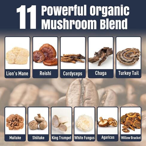 القهوة الفطر ، 11 فطر Superfood تشمل Lion's Mane و Reishi و Chaga & Ashwagandha و Mushroom Coffee Organic من أجل الطاقة والذاكرة والذاكرة ، خالية من السكر ، 5.3 أوقية in Kuwait