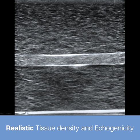 نموذج تدريب فانتوم بالموجات فوق الصوتية للممارسة الطبية، محاكاة إحصار العصب (نموذج العصب) in Kuwait