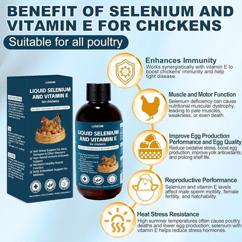 تركيبة حيوية الدواجن E+S | السيلينيوم للدجاج وجميع الدواجن | سائل دعم المغذيات لتوازن الطاقة والتنقل | خليط تغذية مضاف للنمو الصحي، 3.4 أونصة سائلة in Kuwait