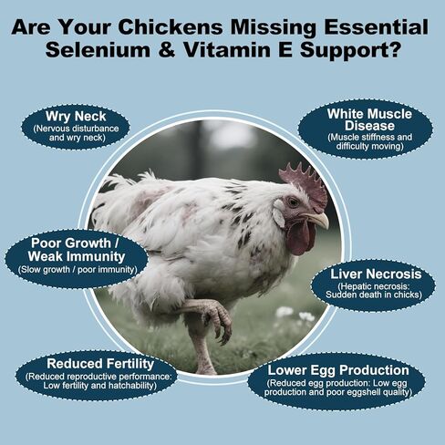 تركيبة حيوية الدواجن E+S | السيلينيوم للدجاج وجميع الدواجن | سائل دعم المغذيات لتوازن الطاقة والتنقل | خليط تغذية مضاف للنمو الصحي، 3.4 أونصة سائلة in Kuwait