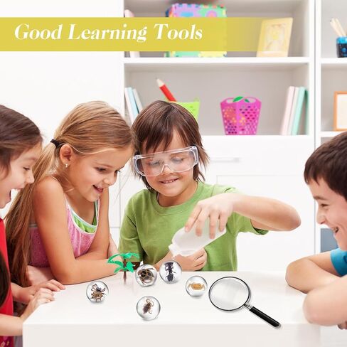 15 قطعة من الحشرات في عينة الراتنج، حشرات في الراتنج، كرة صغيرة شفافة، عينة من الحيوانات، محفوظة في الراتنج للهدايا المدرسية للتعليم العلمي، أنماط عشوائية in Kuwait