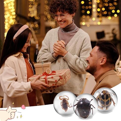 15 قطعة من الحشرات في عينة الراتنج، حشرات في الراتنج، كرة صغيرة شفافة، عينة من الحيوانات، محفوظة في الراتنج للهدايا المدرسية للتعليم العلمي، أنماط عشوائية in Kuwait