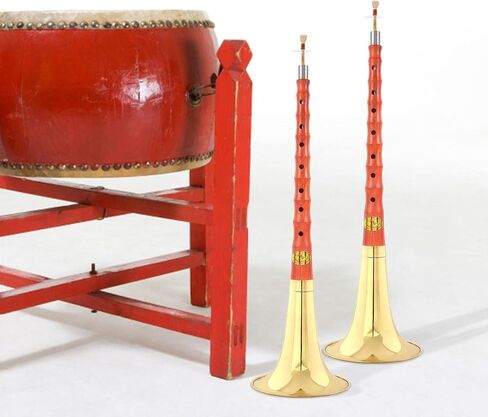 Professional Suona Replacement Rod D Tone, Rosewood Suona Tube Accessory with Protective Case, Folk Instrument Parts for Chinese Wind Performance in Kuwait