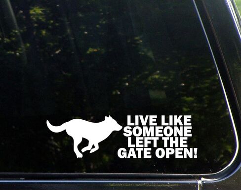 عش وكأن شخصًا ما ترك البوابة مفتوحة! - 8 3/4" x 2 1/2"- Vinyl Die Cut Decal/Bumper Sticker for Windows, Trucks, Cars, Laptops, Glasses. أكواب، الخ. in Saudi Arabia