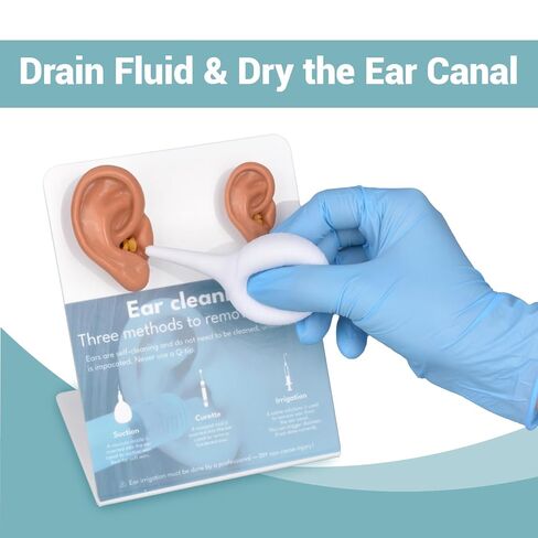 Ear Wax Removal Training Kit, Silicone Ear Canal Cleaning,Ear Anatomical Model, Fake Ear Training Kit for Medical Learning, Classroom Teaching, Auditory Learning, and Science Education in Kuwait
