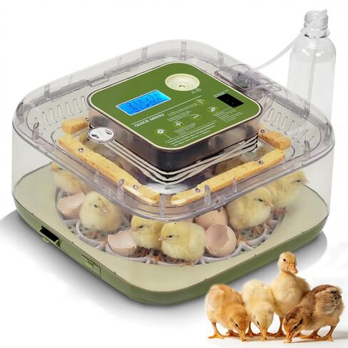 Winado Incubators for Hatching Eggs, 12 Egg Incubator with Automatic Egg Turning, Temperature & Humidity Control, Egg Candler, Automatic Water Filling and Day Counter for Eggs Hatching in Kuwait