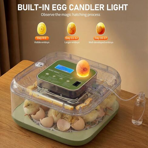 Winado Incubators for Hatching Eggs, 12 Egg Incubator with Automatic Egg Turning, Temperature & Humidity Control, Egg Candler, Automatic Water Filling and Day Counter for Eggs Hatching in Kuwait