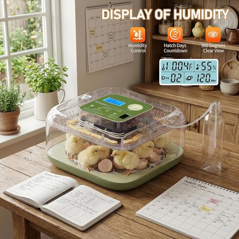 Winado Incubators for Hatching Eggs, 12 Egg Incubator with Automatic Egg Turning, Temperature & Humidity Control, Egg Candler, Automatic Water Filling and Day Counter for Eggs Hatching in Kuwait
