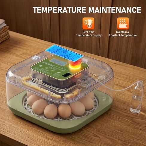 Winado Incubators for Hatching Eggs, 12 Egg Incubator with Automatic Egg Turning, Temperature & Humidity Control, Egg Candler, Automatic Water Filling and Day Counter for Eggs Hatching in Kuwait