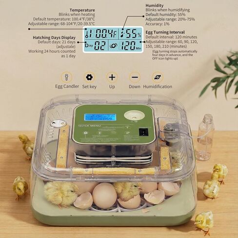 Winado Incubators for Hatching Eggs, 12 Egg Incubator with Automatic Egg Turning, Temperature & Humidity Control, Egg Candler, Automatic Water Filling and Day Counter for Eggs Hatching in Kuwait