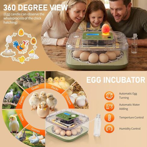Winado Incubators for Hatching Eggs, 12 Egg Incubator with Automatic Egg Turning, Temperature & Humidity Control, Egg Candler, Automatic Water Filling and Day Counter for Eggs Hatching in Kuwait