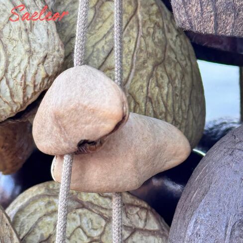 Seed Shell Hand Rattle 4 Kinds of 53 Pure Natural Nut Shells Sound Healing Instruments for Sound Healing and Mindfulness Meditation in Saudi Arabia