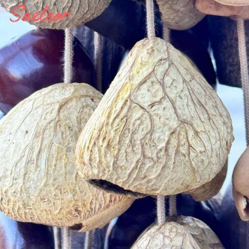 Seed Shell Hand Rattle 4 Kinds of 53 Pure Natural Nut Shells Sound Healing Instruments for Sound Healing and Mindfulness Meditation in Saudi Arabia