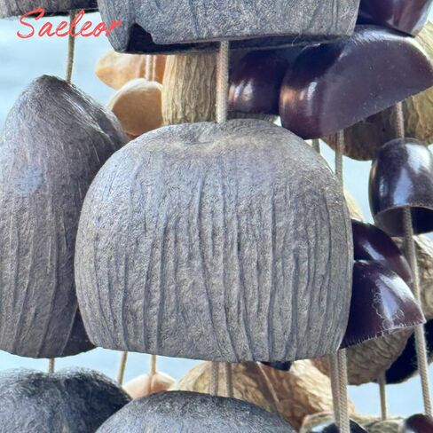 Seed Shell Hand Rattle 4 Kinds of 53 Pure Natural Nut Shells Sound Healing Instruments for Sound Healing and Mindfulness Meditation in Saudi Arabia