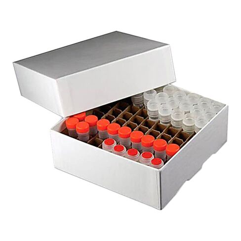 FBZ-2100WW Freezer Box with 100 Place Divider, No Drain Holes, 5-1/4" Length, 5-1/4" Width, 2" Height, White, Pack of 10 in Saudi Arabia