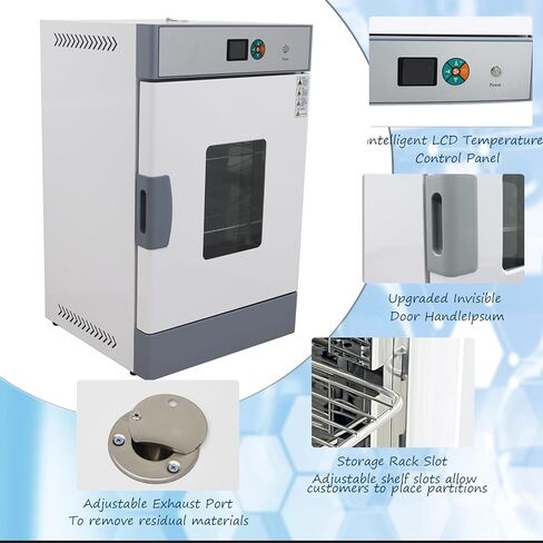 Lab Drying Oven 220V Industrial Digital Forced Air Convection Oven WGL-220BE Intelligent Temperature 210L Draught Drying Cabinet, 3KW, RT+50-572℉ in Kuwait