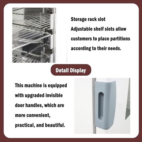 Digital Forced Air Convection Drying Oven Lab Blast Drying Oven Industrial Drying Baking Heat Treatment Intelligent Temperature Control 220V 3KW 210L in Kuwait