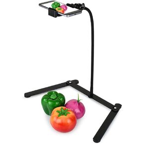 DS. DISTINCTIVE STYLE Phone Holder for Video Recording 15 Inch Bendable Gooseneck Desk Tripod Compatible with iPhone and Mini Projector for Cookie Decorating