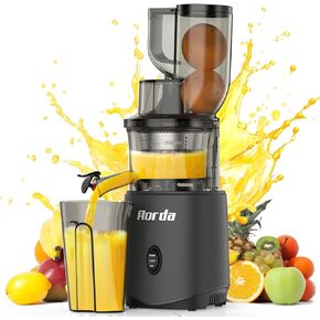 Cold Press Slow Masticating Juicer: Powerful Cold Pressed Juicer Machines Easy To Clean For Vegetable and Fruit, Grey