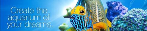 Marineland Advanced LED Strip Light for Salt & Fresh Water Aquariums in Saudi Arabia