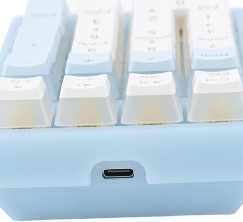 Number Pad, 21 Keys Num Pad with RGB Backlight Gaming Keypad USB Wired Mini Numpad Mechanical Numeric Keypad Extended Layout for Cashier Portable Keypad Numberpad for Laptop Desktop Computer PC, Blue in Saudi Arabia