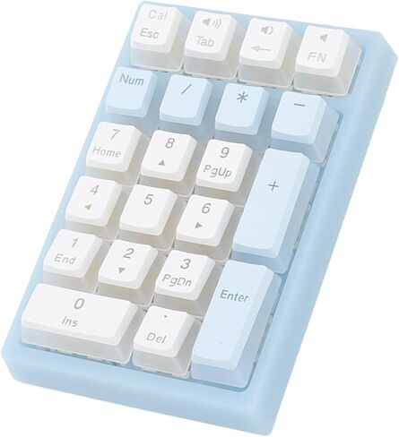 Number Pad, 21 Keys Num Pad with RGB Backlight Gaming Keypad USB Wired Mini Numpad Mechanical Numeric Keypad Extended Layout for Cashier Portable Keypad Numberpad for Laptop Desktop Computer PC, Blue in Saudi Arabia