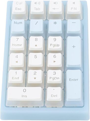 Number Pad, 21 Keys Num Pad with RGB Backlight Gaming Keypad USB Wired Mini Numpad Mechanical Numeric Keypad Extended Layout for Cashier Portable Keypad Numberpad for Laptop Desktop Computer PC, Blue in Saudi Arabia
