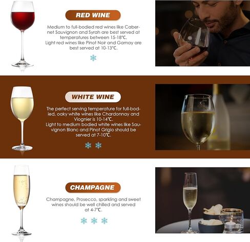 مبرد النبيذ الكهربائي من نيوتري، مبرد نبيذ بدون ثلج لزجاجة نبيذ شامبانيا واحدة سعة 750 مل، لمحبي النبيذ للتذوق في درجة حرارة منخفضة ثابتة in Kuwait