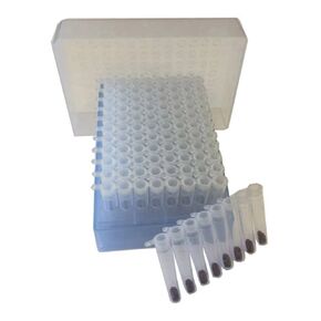 116980001 Lysing Matrix A, 96-Well Rack (1.2mL) in Kuwait