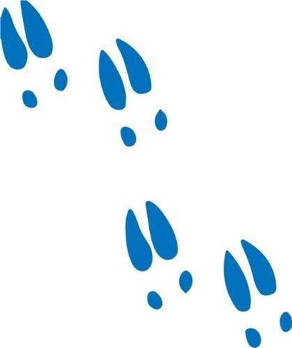 Deer Decal - Blue Whitetail Tracks Vinyl Sticker in Saudi Arabia