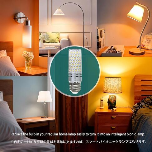 Smart Wake-Up Light Bulb - Sound & Light Alarm, APP Control Sunrise Sunset Simulation, 3 Colors & Natural Sounds, 800 Lumens, Reset Circadian Rhythm for Wake-Up, Sleep Aid & Lighting in Saudi Arabia