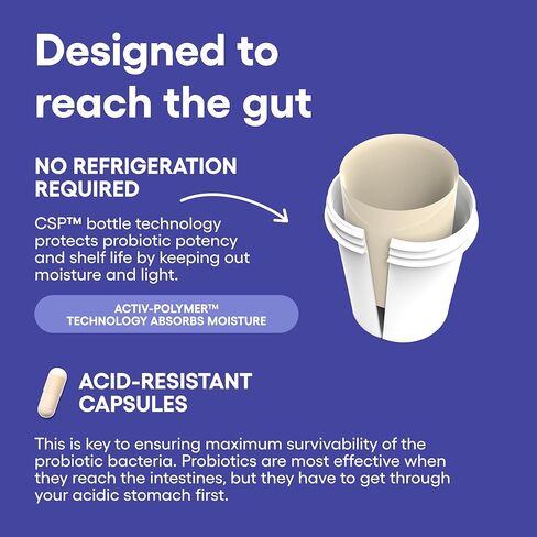دعم المزاج من الطبيب ، يدعم Probiotic - مزاج متوازن ، والاستجابة الصحية للإجهاد والصحة الهضمية مع prebiotics ، و Ashwagandha ، وفيتامين B12 ، والفولات - للرجال والنساء - 30CT in Kuwait