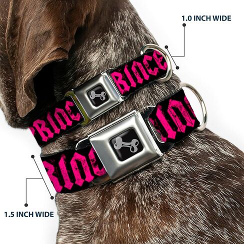 Dog Collar Seatbelt Buckle Punk Princess Black Fuchsia 16 to 23 Inches 1.5 Inch Wide, Multicolor in Saudi Arabia