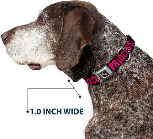 Dog Collar Seatbelt Buckle Punk Princess Black Fuchsia 16 to 23 Inches 1.5 Inch Wide, Multicolor in Saudi Arabia