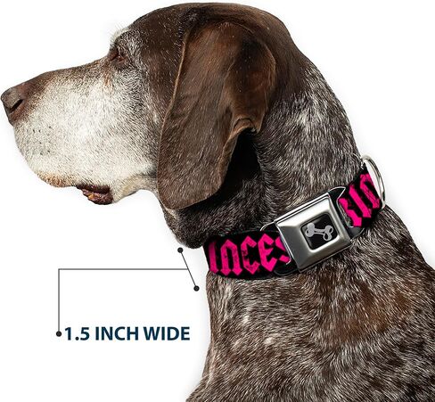 Dog Collar Seatbelt Buckle Punk Princess Black Fuchsia 16 to 23 Inches 1.5 Inch Wide, Multicolor in Saudi Arabia