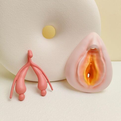 نموذج تجميع الجهاز التناسلي الخارجي للإناث، نموذج مجموعة الفرج، نموذج تدريس العلوم، قزم أمراض النساء، نموذج تشريح الجهاز التناسلي البشري، نموذج البظر in Kuwait