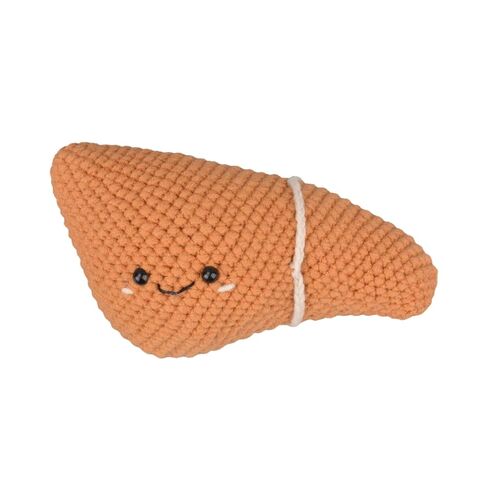 Crochet Anatomical Liver (Small) - Handmade Emotional Support Art, Positive Health Gift, Unique Educational Décor for Home & Office in Kuwait