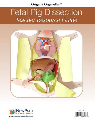 NewPath Fetal Pig Dissection 3-D Paper Model Making Kit, Set/5 Full-Color, Paper Model Templates & Teachers Guide (24-7740) in Saudi Arabia