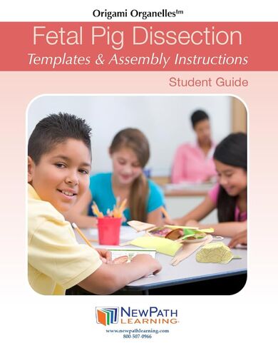 NewPath Fetal Pig Dissection 3-D Paper Model Making Kit, Set/5 Full-Color, Paper Model Templates & Teachers Guide (24-7740) in Saudi Arabia