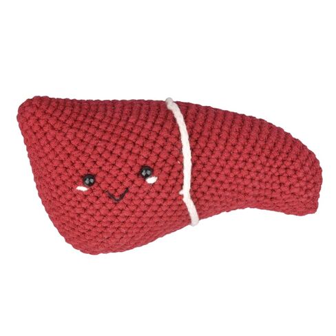 Crochet Anatomical Liver (Large) - Handmade Emotional Support Art, Unique Educational Tool, Positive Gift for Health & Wellness, Home & Office Décor in Kuwait
