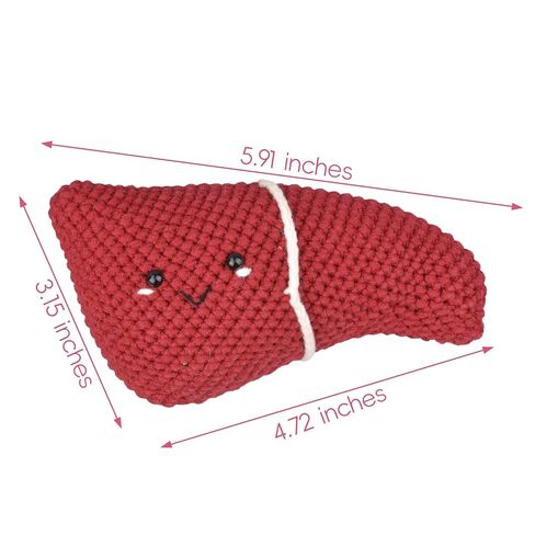 Crochet Anatomical Liver (Large) - Handmade Emotional Support Art, Unique Educational Tool, Positive Gift for Health & Wellness, Home & Office Décor in Kuwait