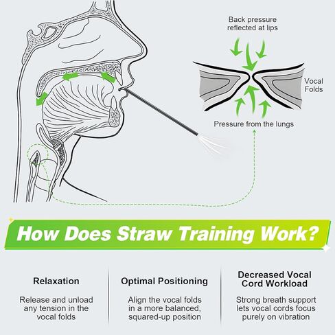 Straw Tool for Vocal Training and Healing Aid, Stainless Steel Vocal Trainer for Voice Exercises, Portable & Durable Voice Trainer for Singers, Speakers, Coaches in Kuwait