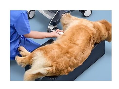 Veterinary Echocardiography Mattress - 39" x 18" x 6", Cutout for Ultrasound, USA Made in Kuwait