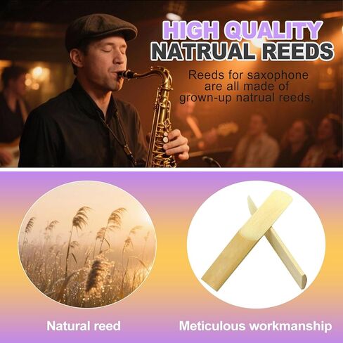 10 عبوات من قصب ألتو ساكسفون بقوة 2.5 حافظة فردية متضمنة قصبة كلاسيكية غير مصنفة لأداء ساكسفون للمبتدئين والطلاب المحترفين in Kuwait